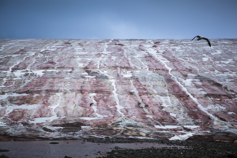 Illustration for article titled Antarctica is actually an amazingly colorful place